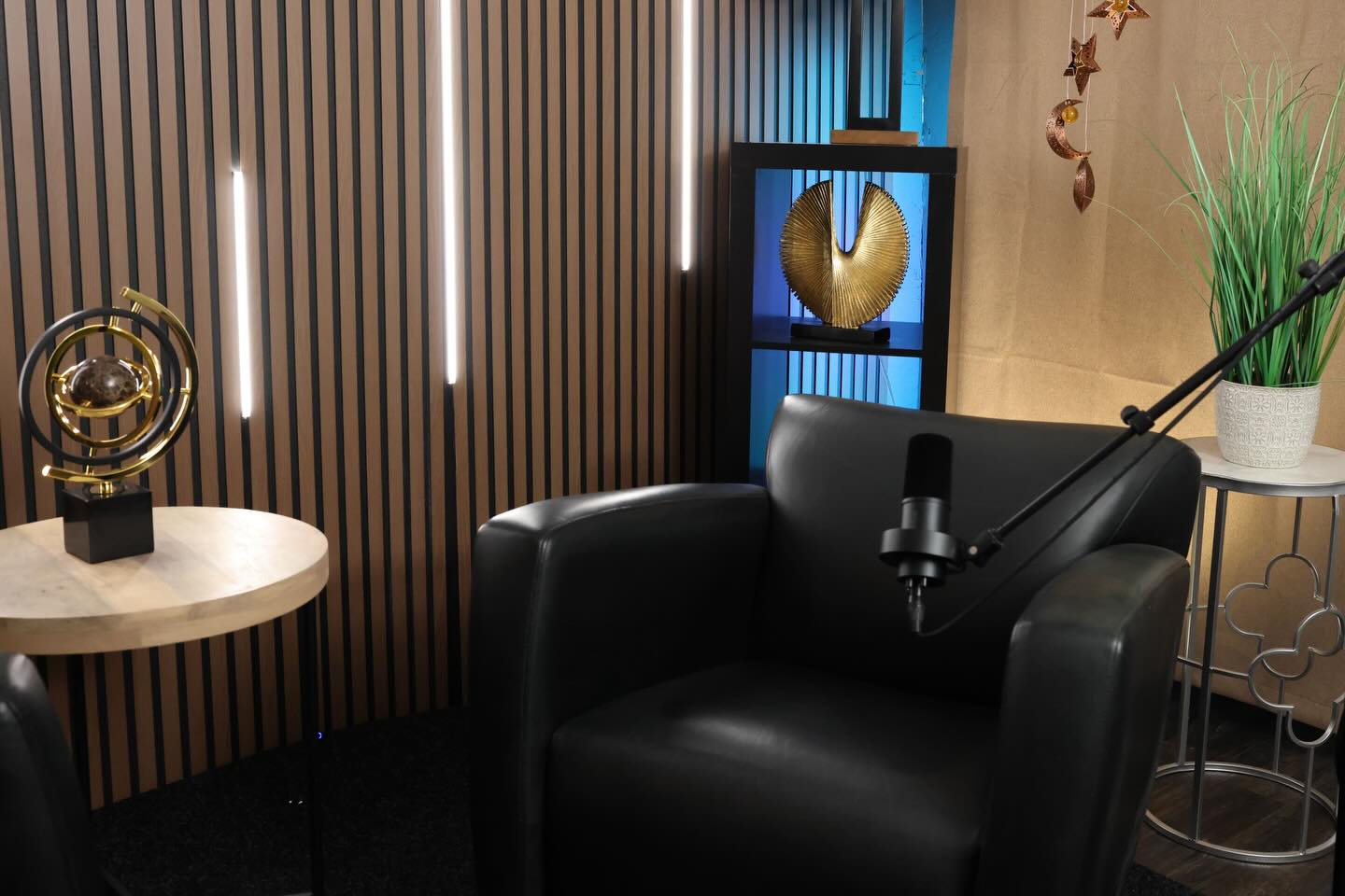 dk3 studios LLC - Using professional lighting is crucial when shooting ...