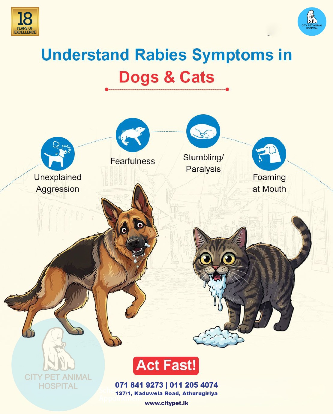 City - Understanding Rabies Symptoms in Dogs and Cats 𝗖𝗜𝗧𝗬 𝗣𝗘𝗧 𝗔𝗡𝗜𝗠𝗔𝗟 ...