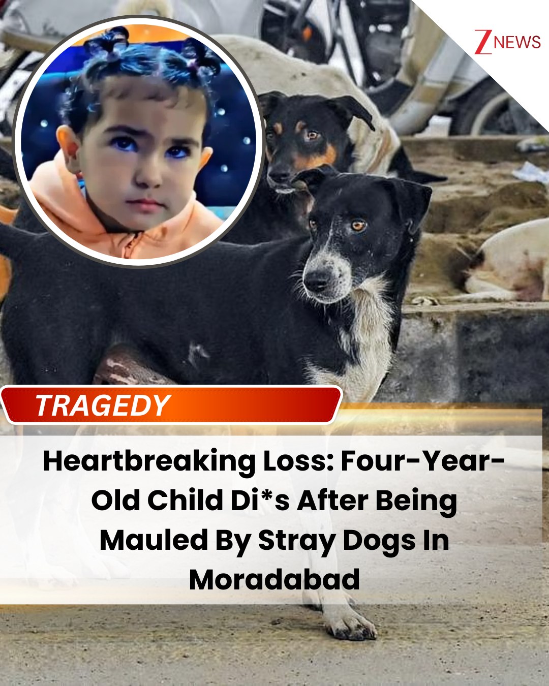 Zee - A heartbreaking incident has been reported from Moradabad, where ...