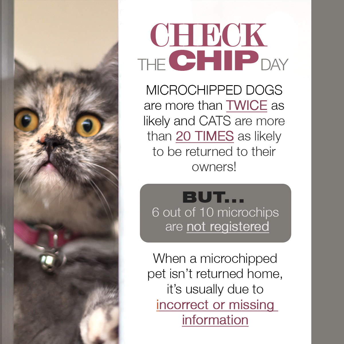 Did you know... - Bowman Animal Hospital and Cat Clinic | Facebook