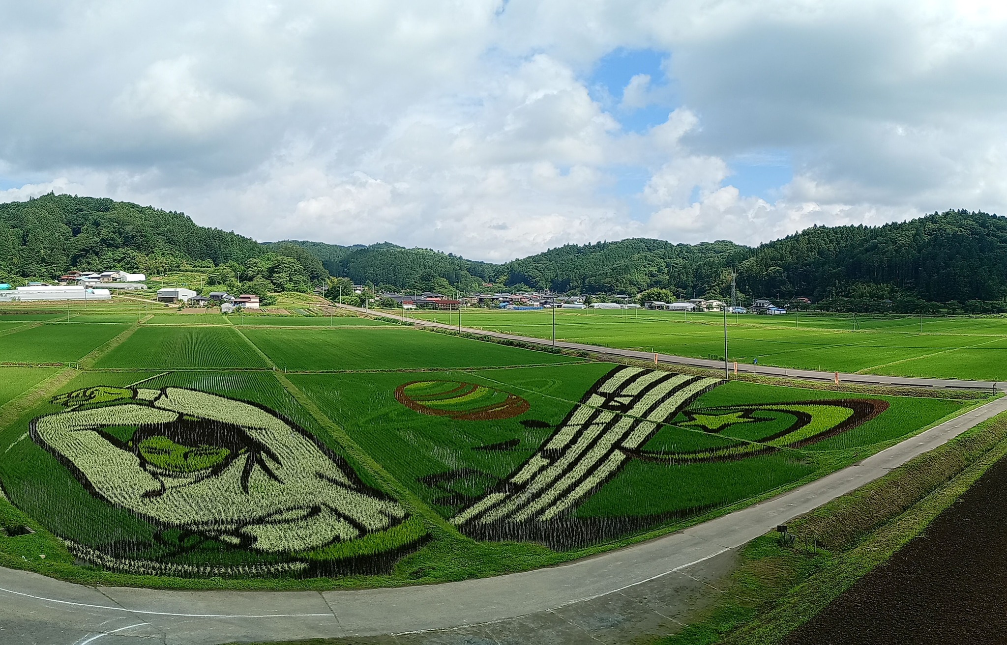 2026/07/07(THU) 田植後38日目 今日は七夕、暑くなりそうですが、展望