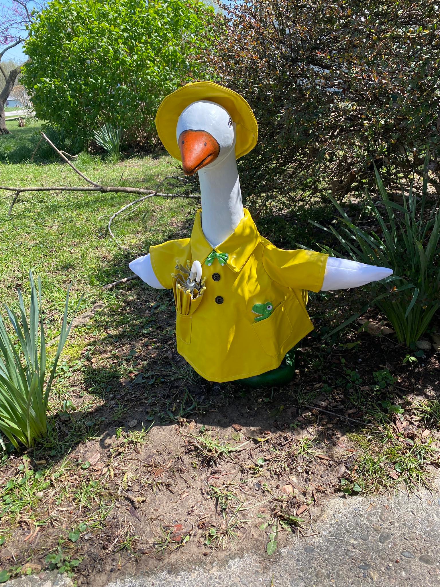 The Porch Goose Club of America | My first porch goose that I wanted ...