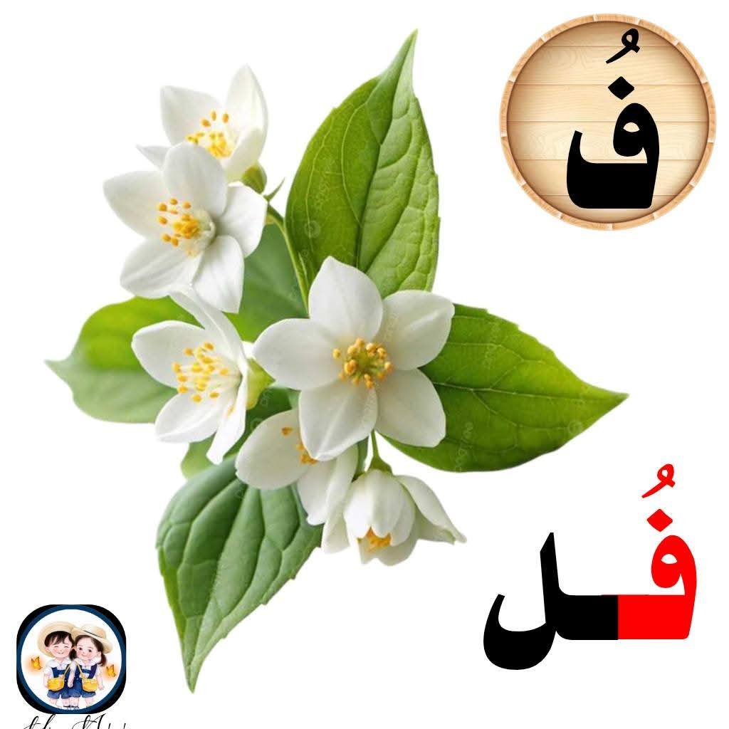 ‎المعلمة... - المعلمة إيمان جادالله《تدريس الصفوف الأولى》
