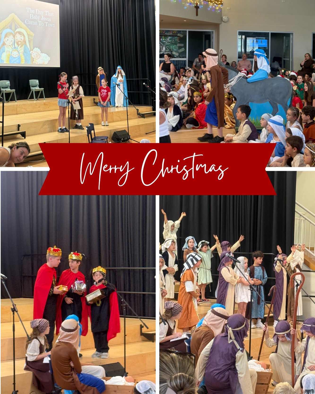 Holy Cross Catholic Primary School Woollahra | Bondi Junction NSW