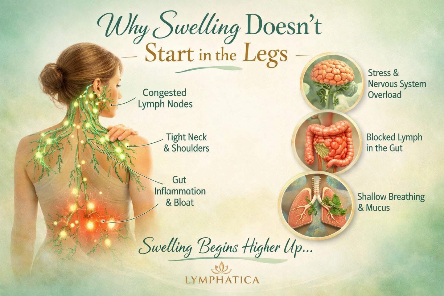 Lymphatica - 🌿 Why Swelling Doesn’t Start in the Legs Understanding the ...