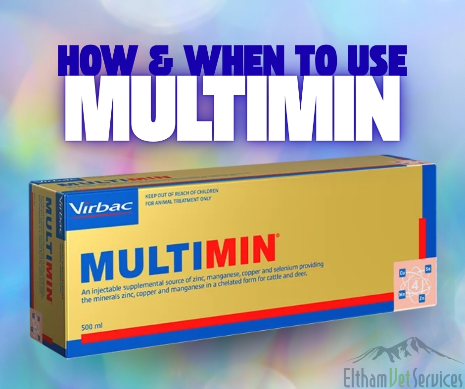 Eltham - 🐮Multimin in calves at birth (1ml = $0.93/calf) has shown to ...