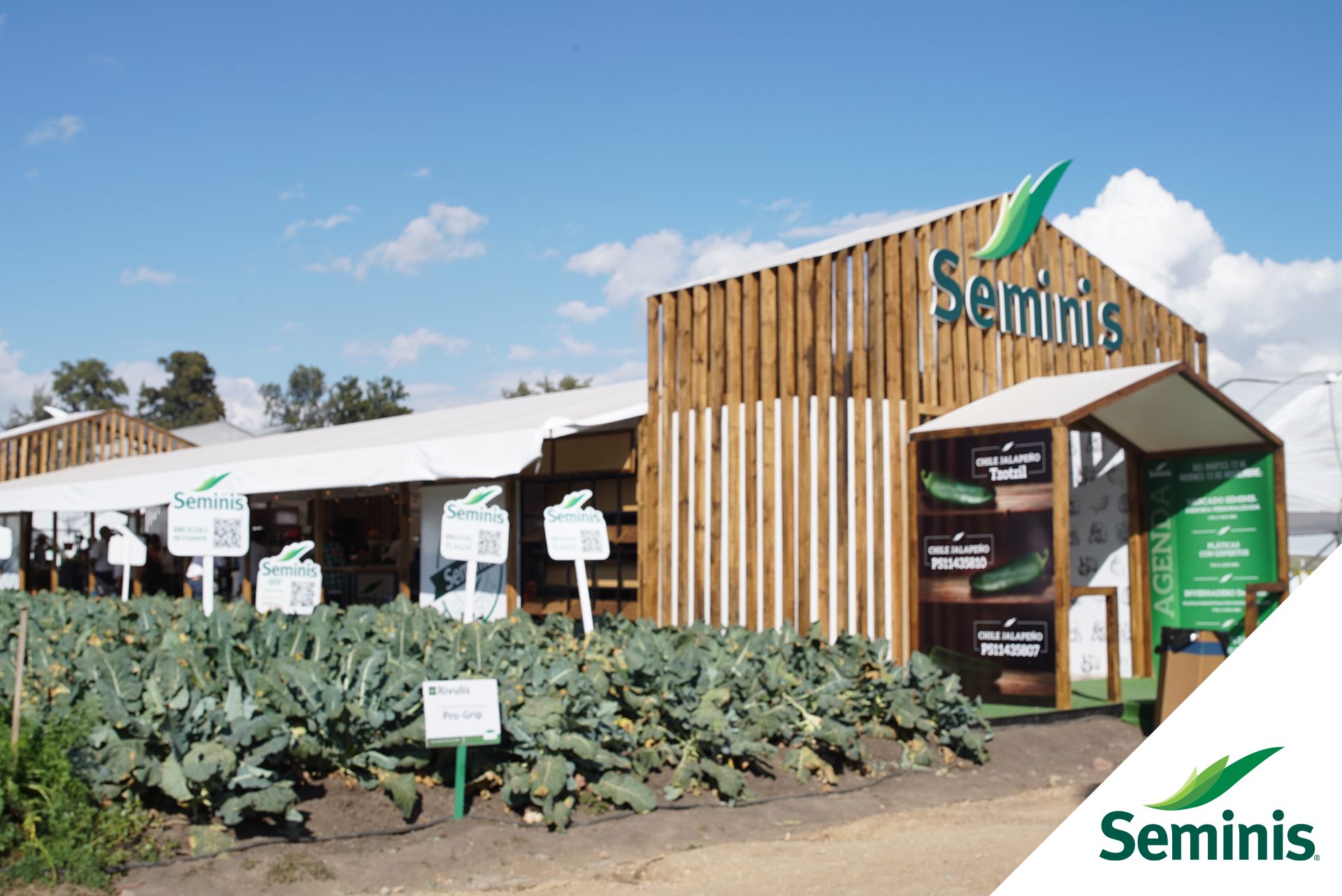 Seminis México - ¿Aún no visitas el Mercado Seminis en la... | Facebook