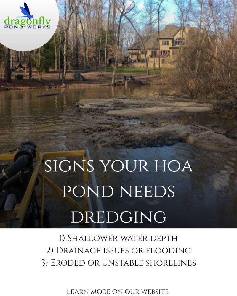 Dragonfly - Ponds are valuable assets to HOA communities, but over time ...