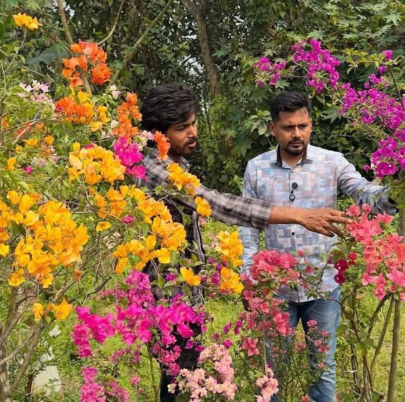 Md Yousuf Ali