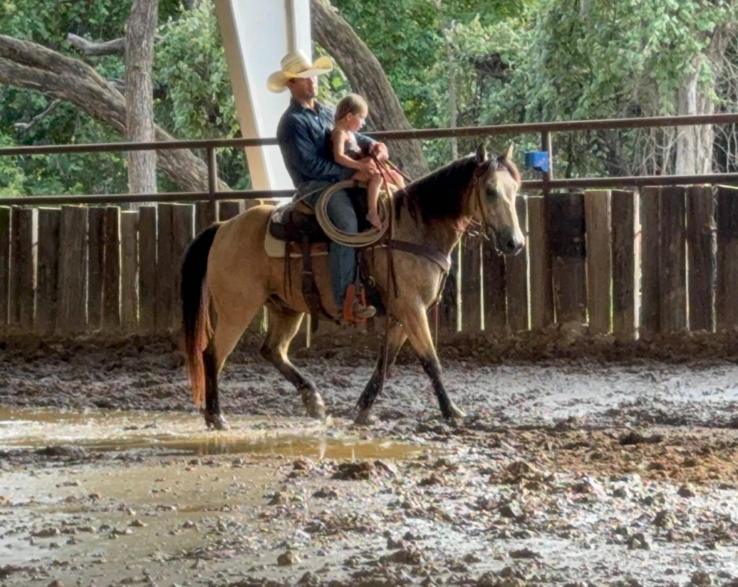 TnT Ranch & Tom Davis... - TnT Ranch & Tom Davis Horsemanship