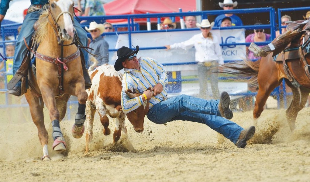Metcalfe Kubota Pro Rodeo 2022 Live | Metcalfe MS