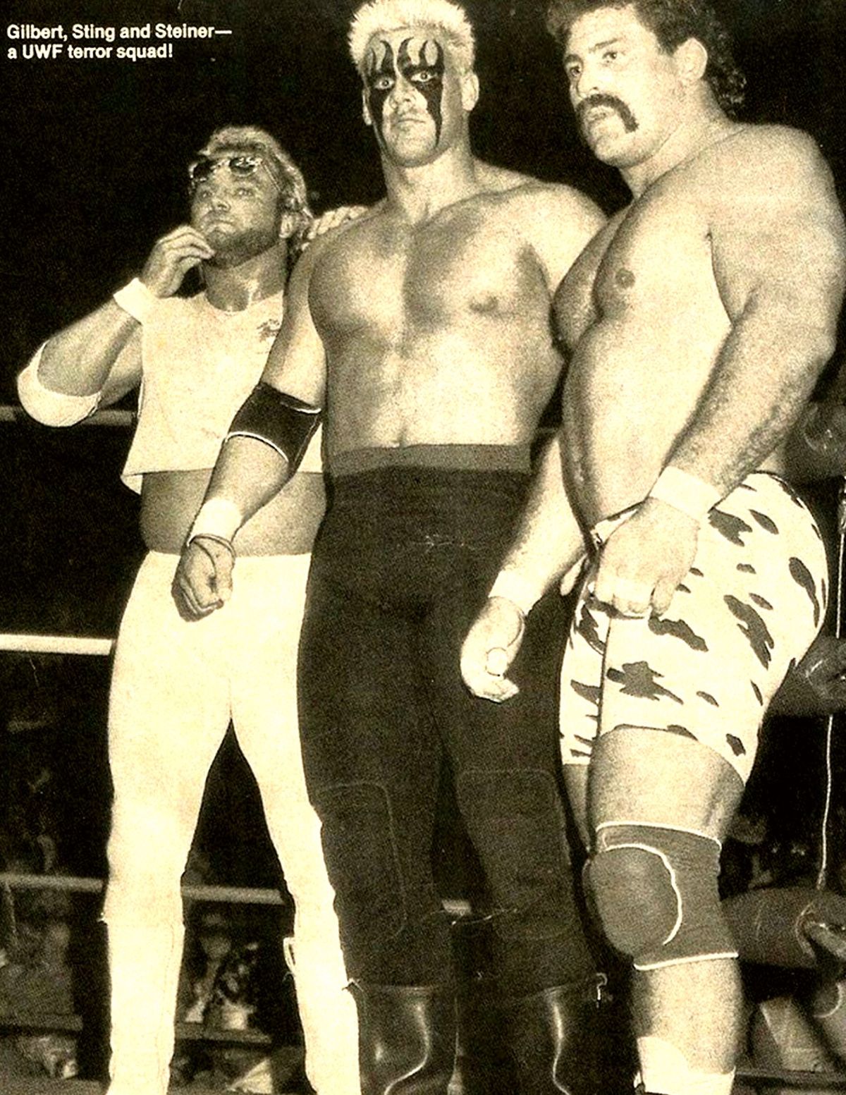 Sting and The Steiner Brothers!!!