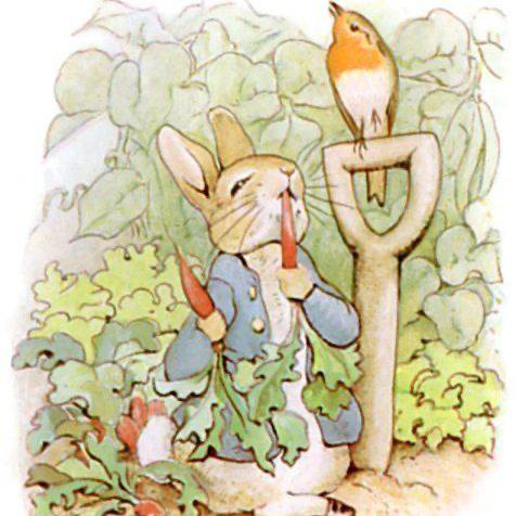 Robin Roraback Children's Book Illustration