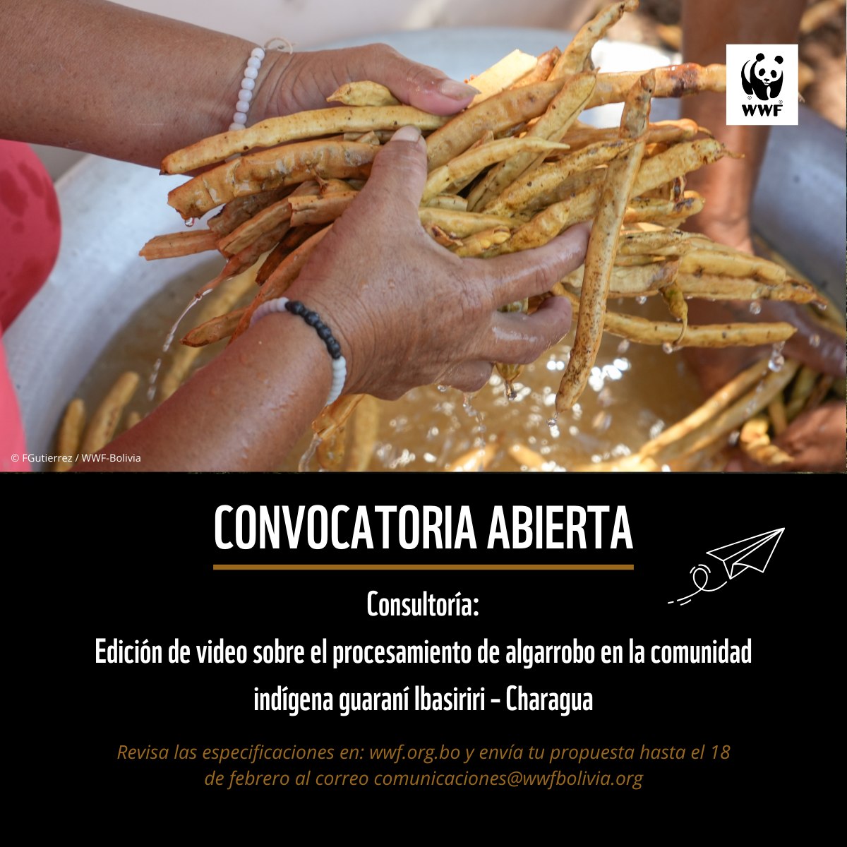 WWF Bolivia - ¡Convocatoria abierta! 📢 Consultoría:... | Facebook