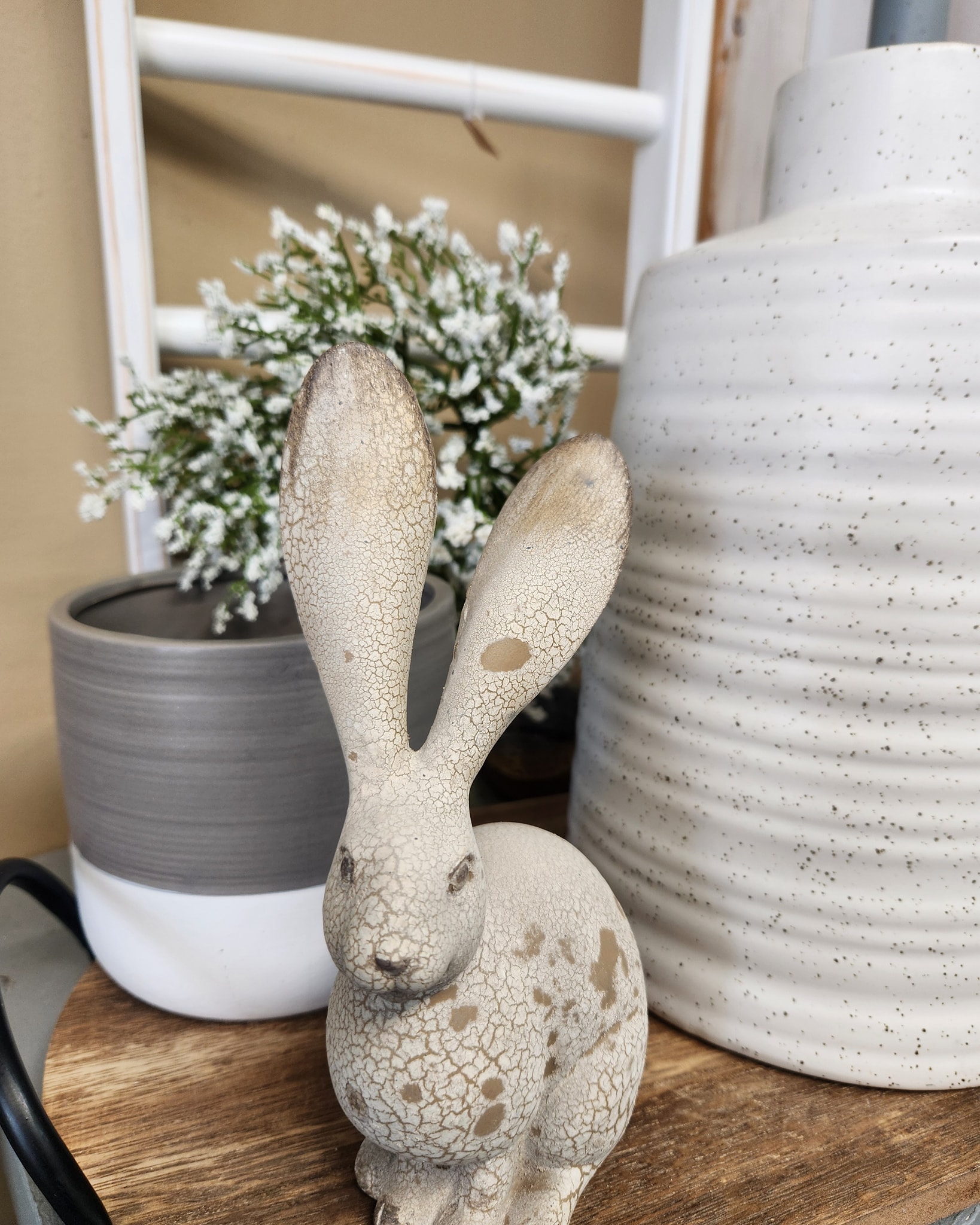 A hope for Spring.