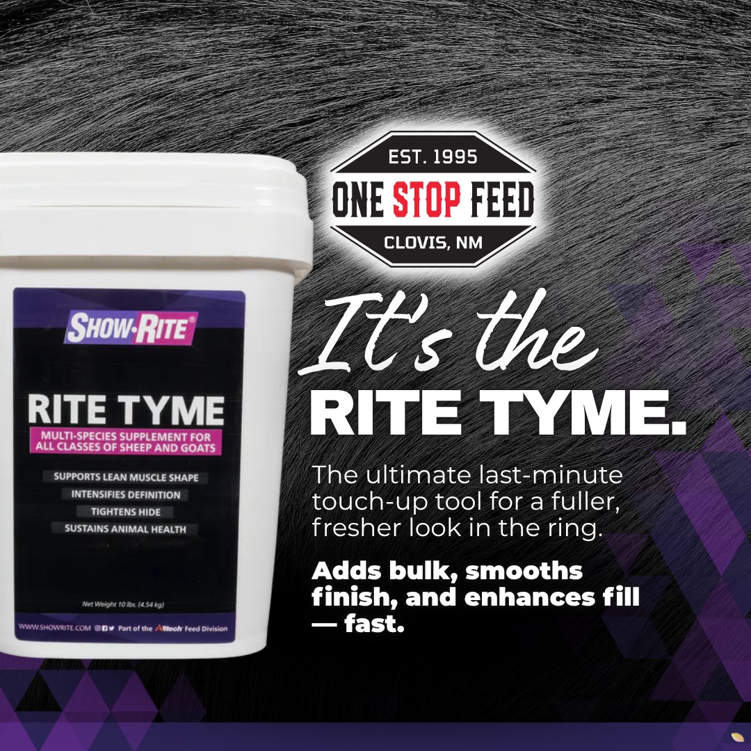 One-Stop - ⏱🐑 When it’s crunch time, choose the Rite Tyme. Get that ...