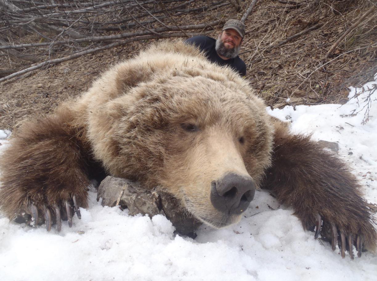 Revelation - SPRING 2026 ALASKA PENINSULA BROWN BEAR HUNT 2 Spots ...
