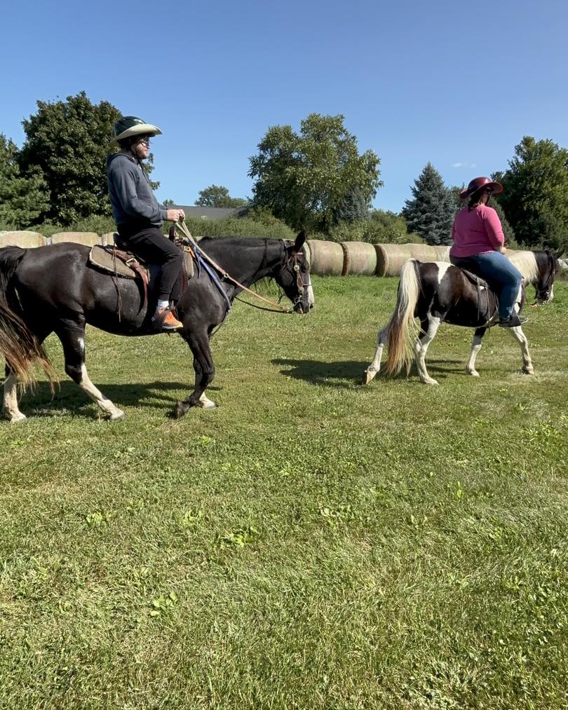 Rolling Hills Stables added a new... - Rolling Hills Stables