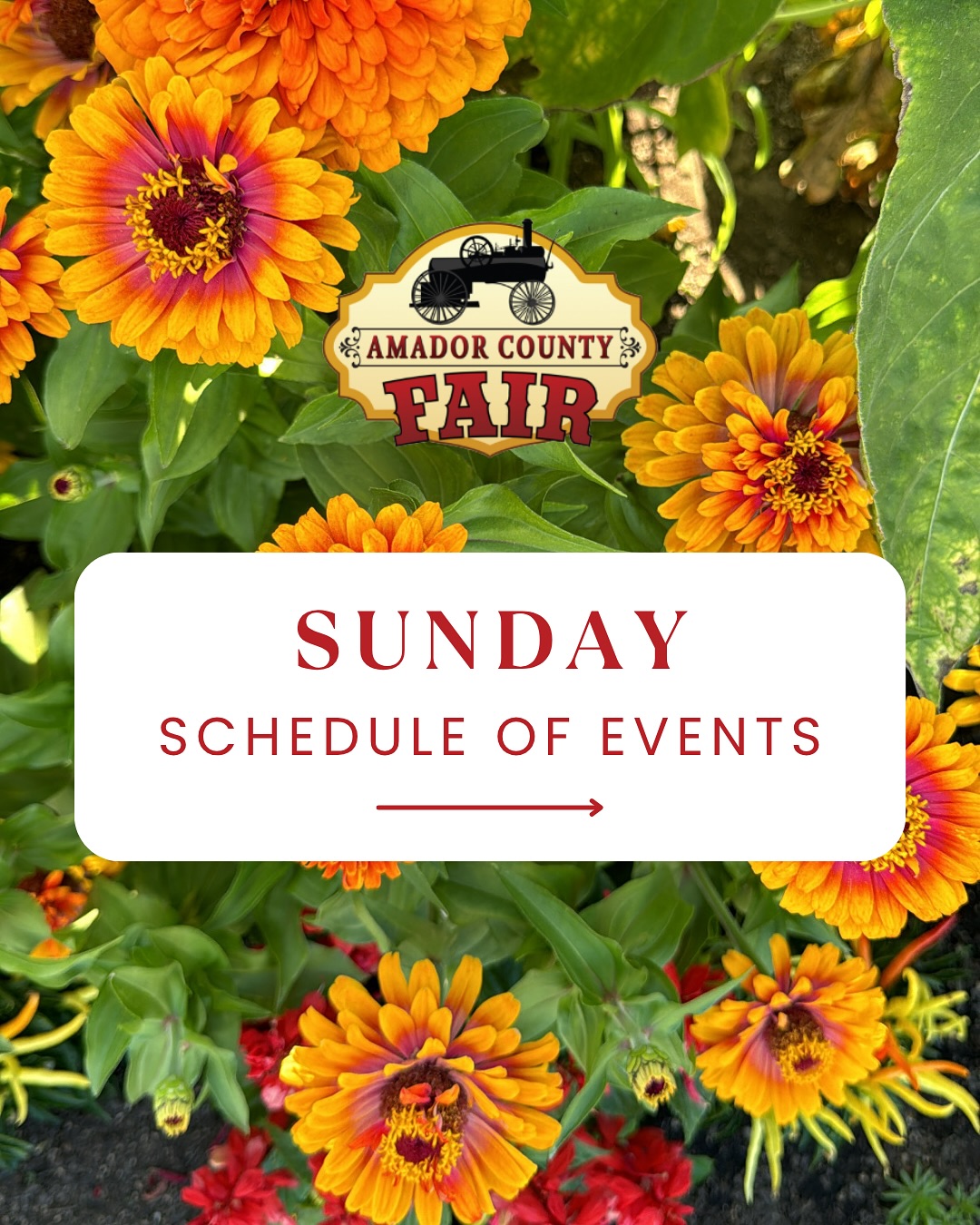 Amador County Fair and Event Center | Plymouth CA