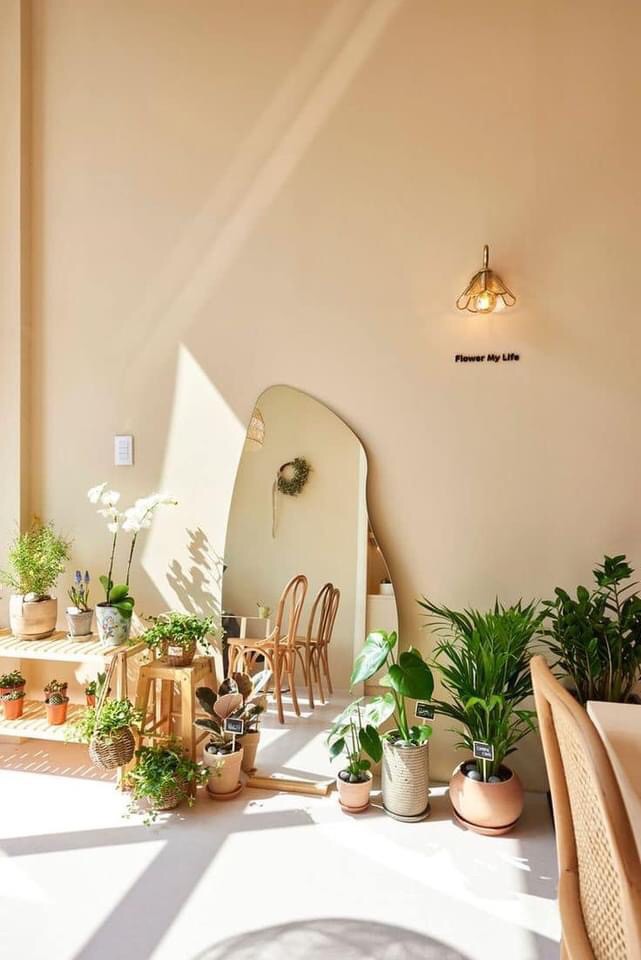 ไอเดียเจ๋ง "คาเฟ่กระจก"... - แบบบ้านสวนขนาดเล็ก | Facebook