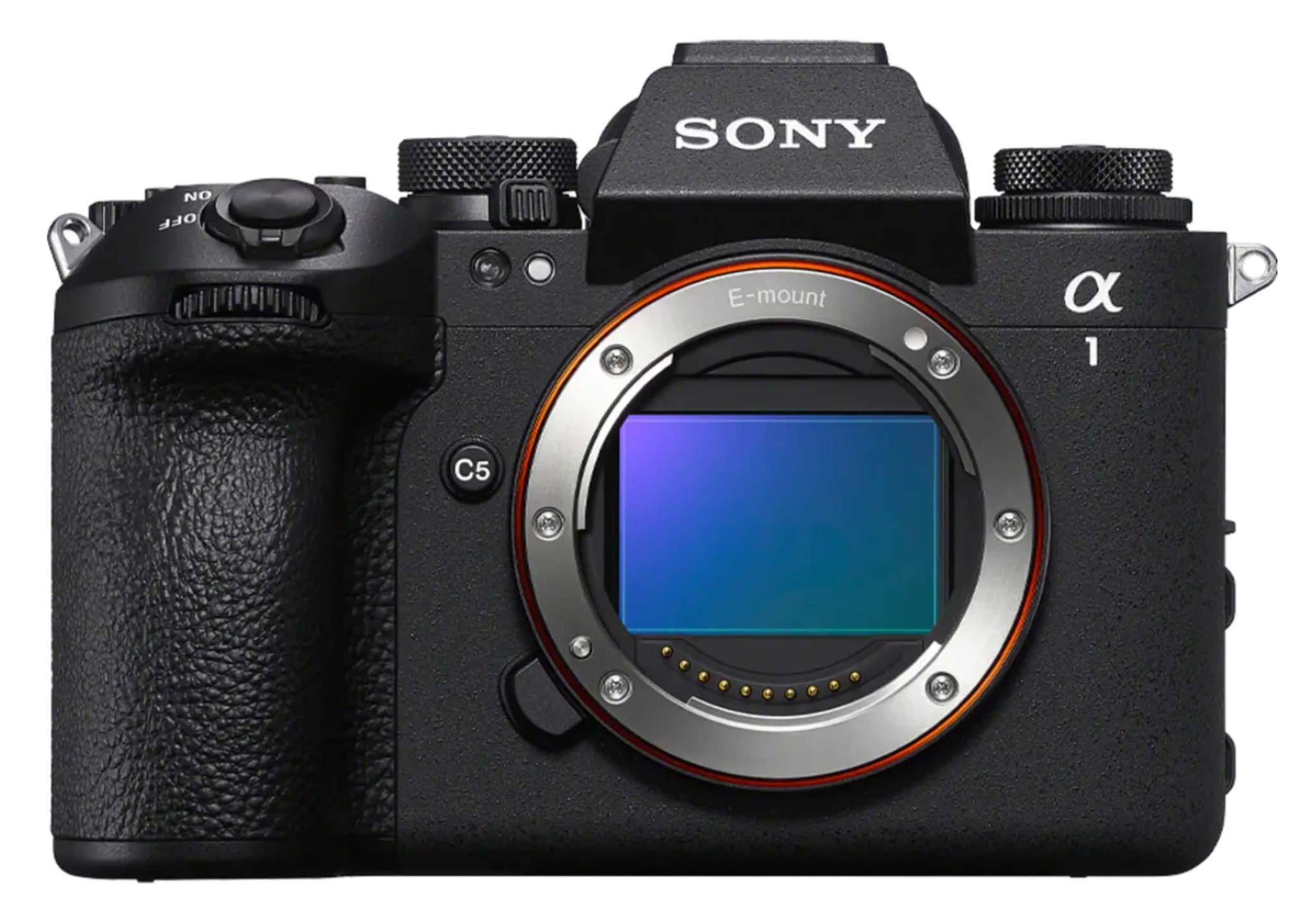 Nick - Top Wildlife Cameras: R5 II v Z8 v ⍺1 II I swapped my old Nikon ...