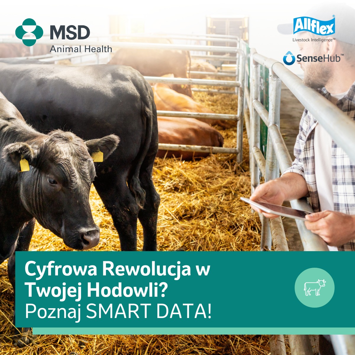MSD Animal Health Farm Management Solutions - Z okazji dzisiejszego ...