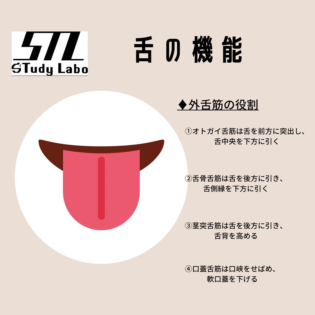 STudy Labo - STudyシリーズ＊ 舌の機能 ・外舌筋の役割...