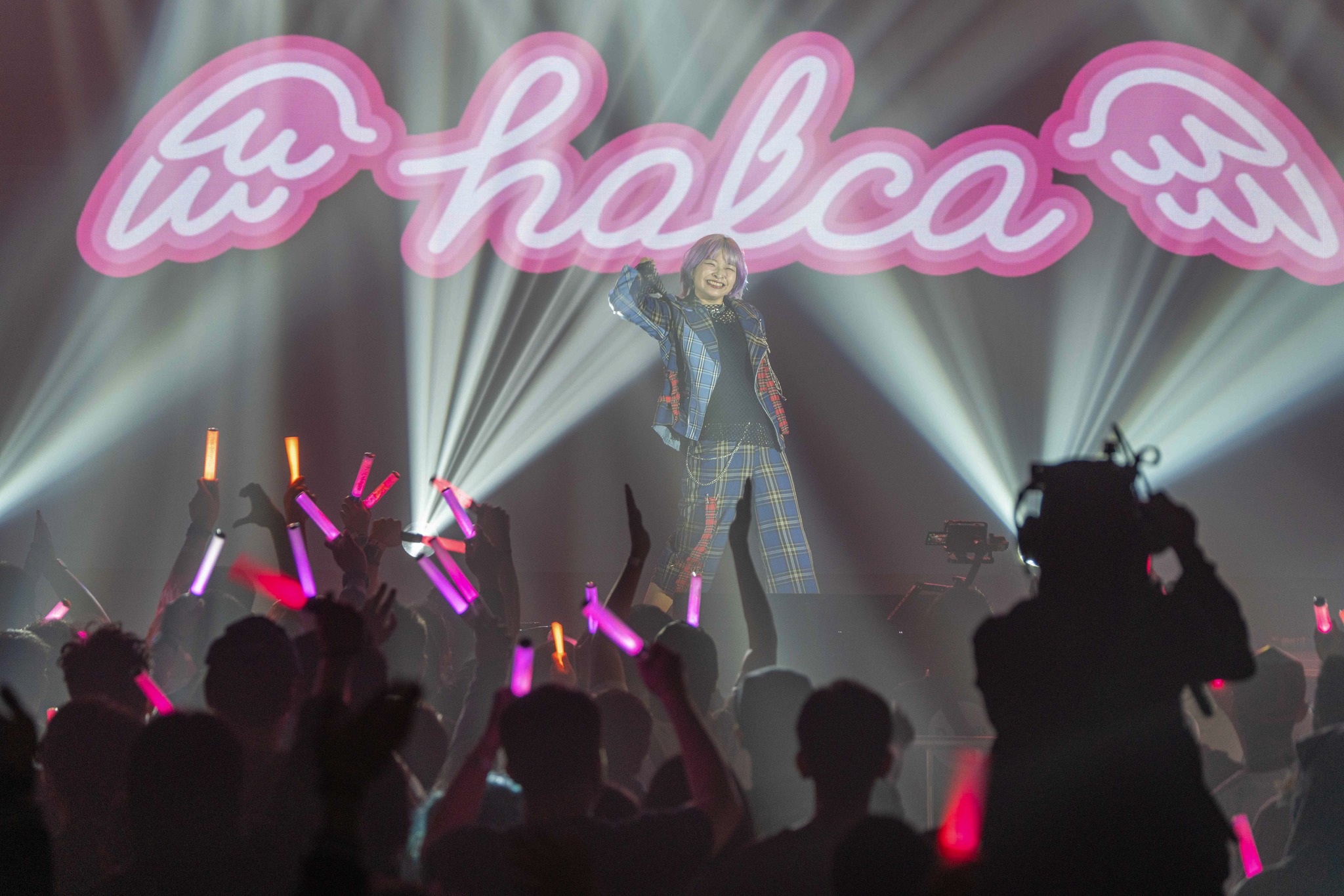 01/25 さいとうなおき HALCA-Beni HC GALLERY MSR