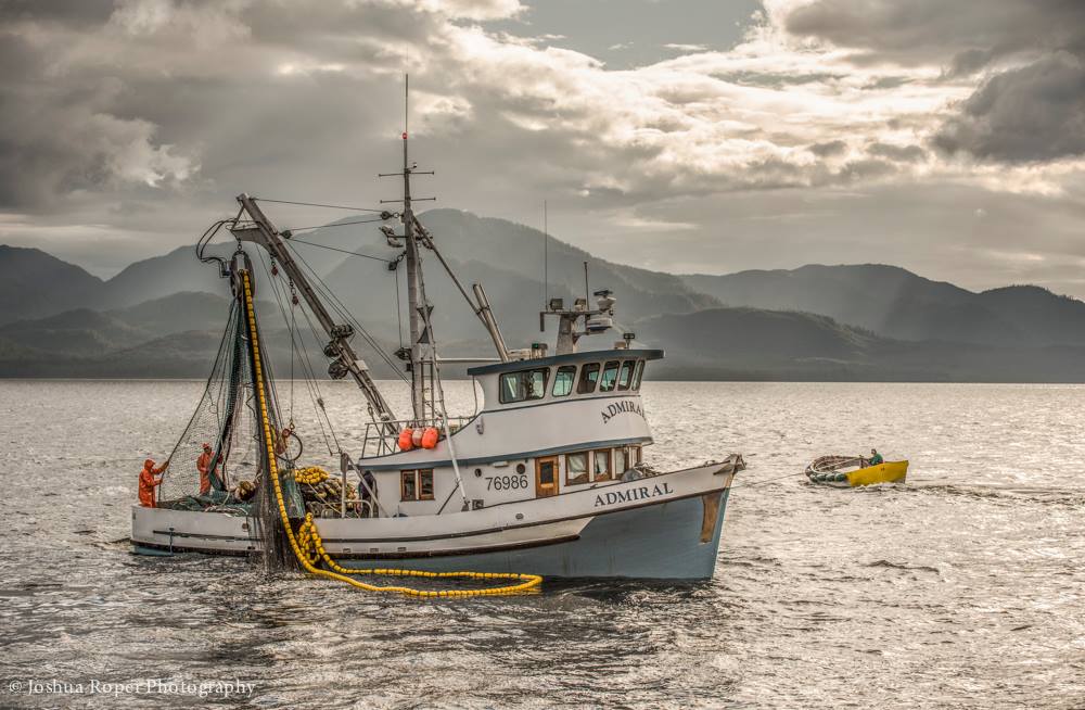 Joshua Roper Photography