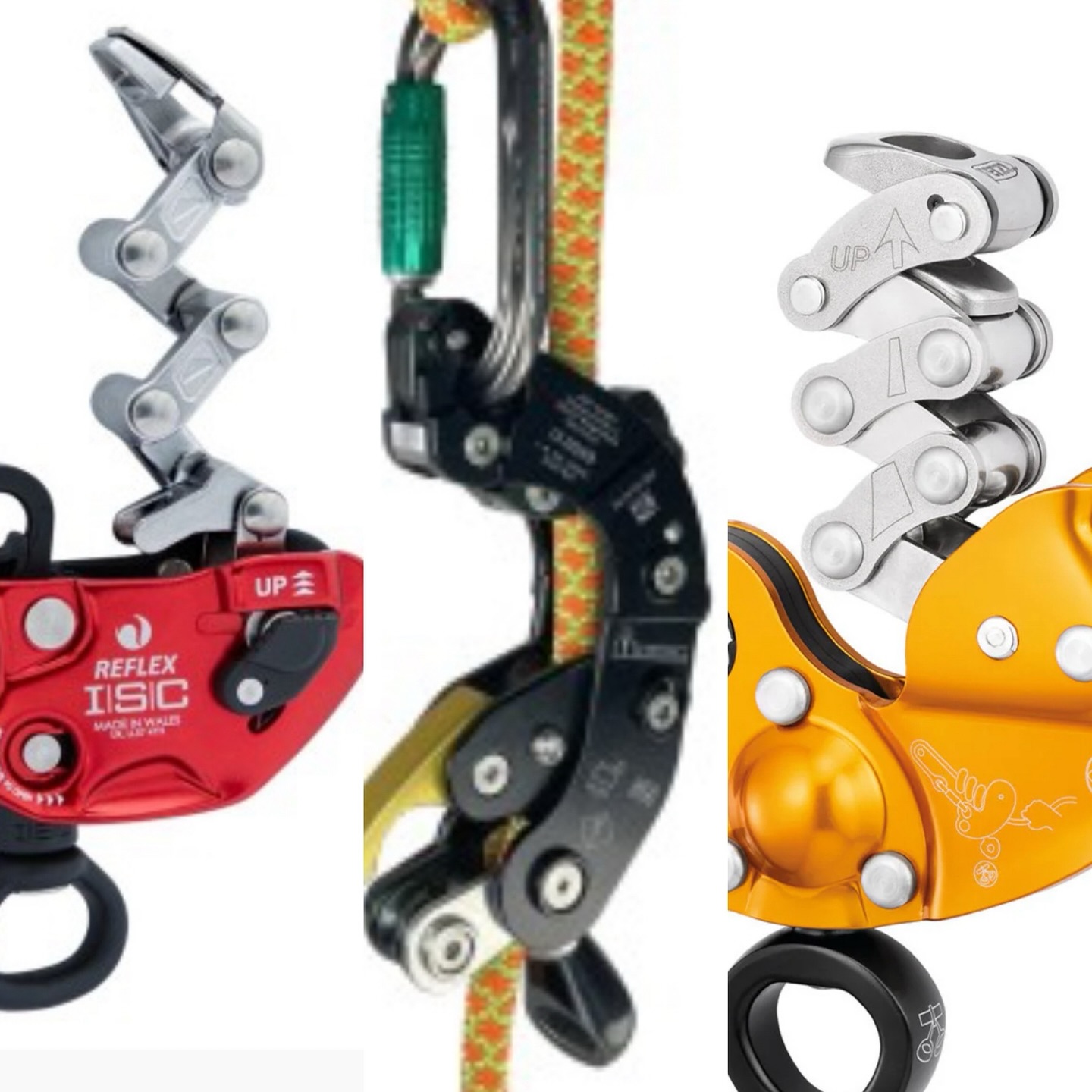 What is happening in the European tree climbing sector? The 