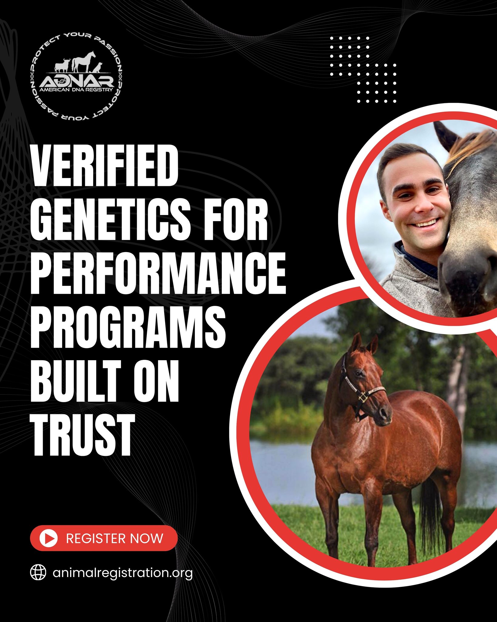 🧬 Verified Genetics.... - American Quarter Horse Registry | Facebook