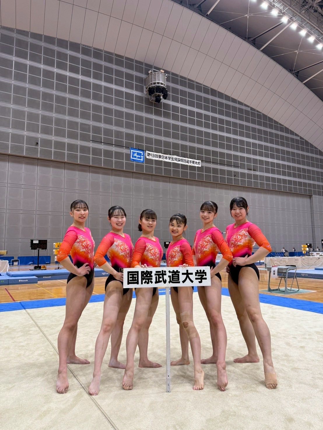 国際 武道 大学 体操 部