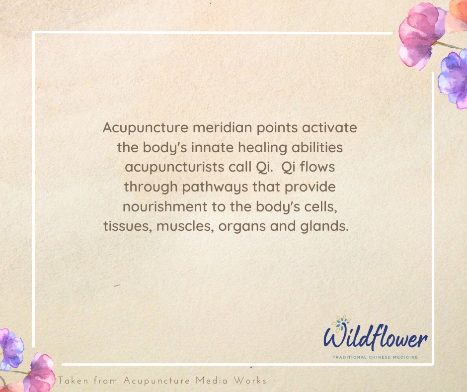 Wildflower Traditional Chinese Medicine | Mankato MN