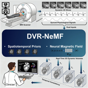 Cell - Real-time 4D MRI reconstruction using DVR-NeMF, a framework for ...