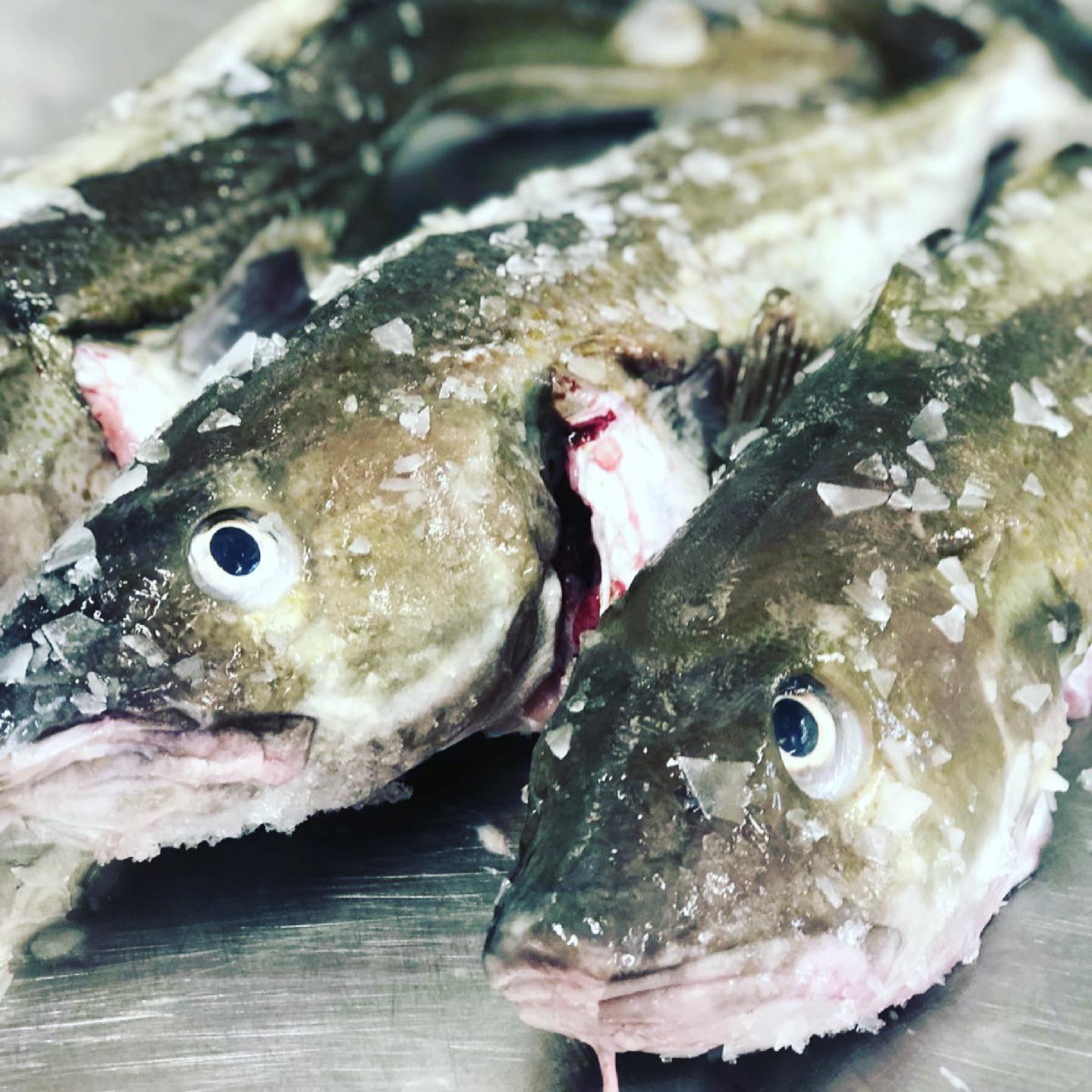 The Cod’s Pollocks Brixham | Brixham