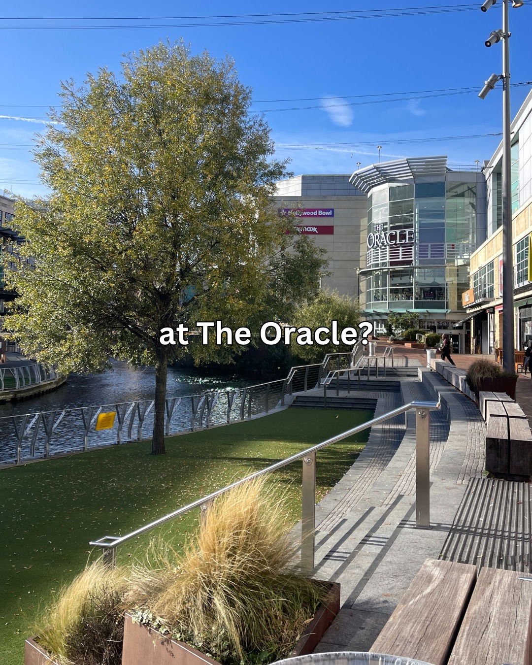 The Oracle | Reading