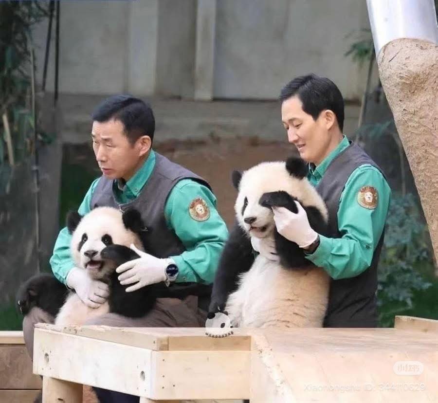 Rui Hui đáng yêu added a new photo. - Rui Hui đáng yêu