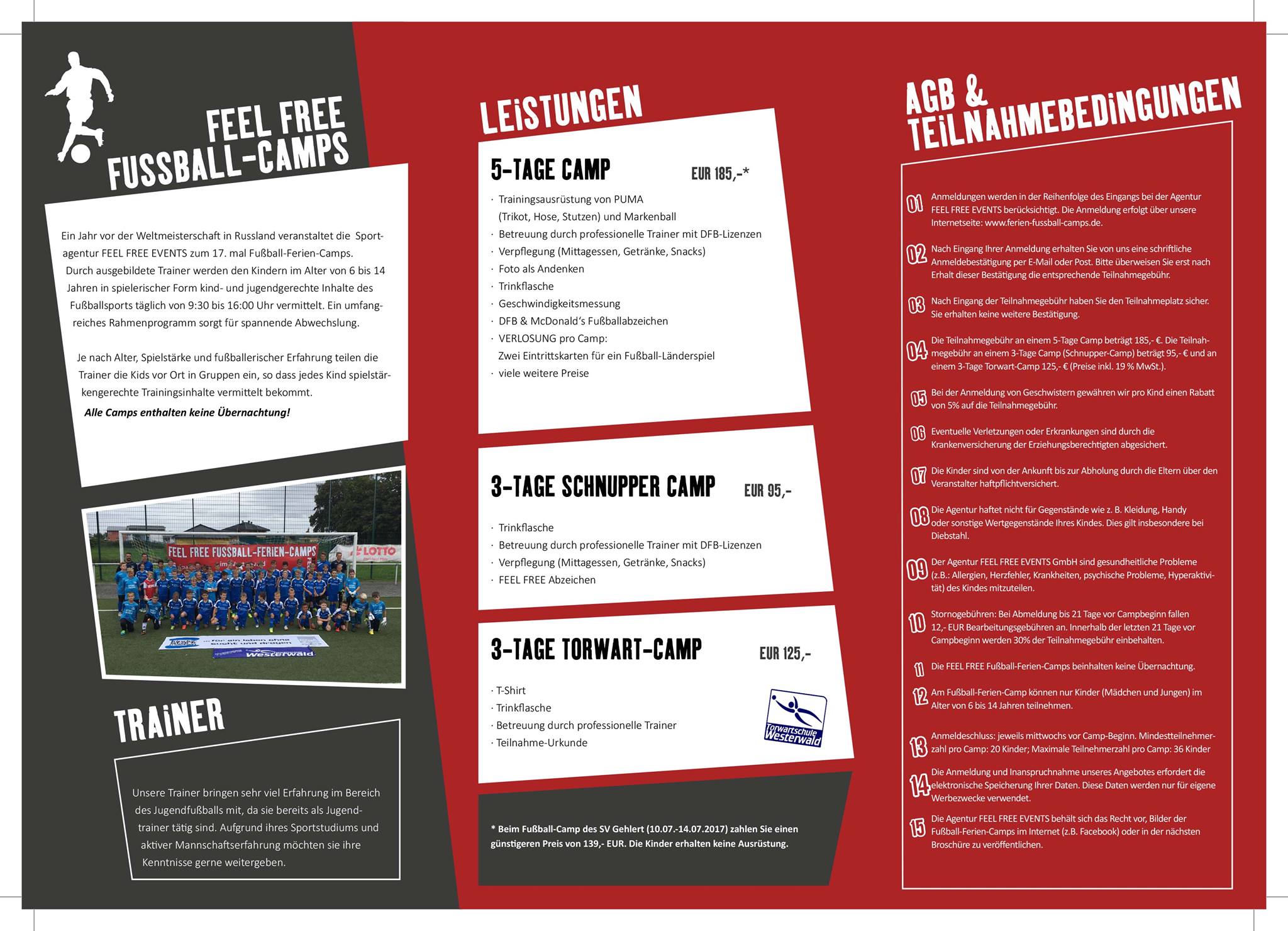 Bald Fangen Schon Die Sommerferien An Feel Free Events