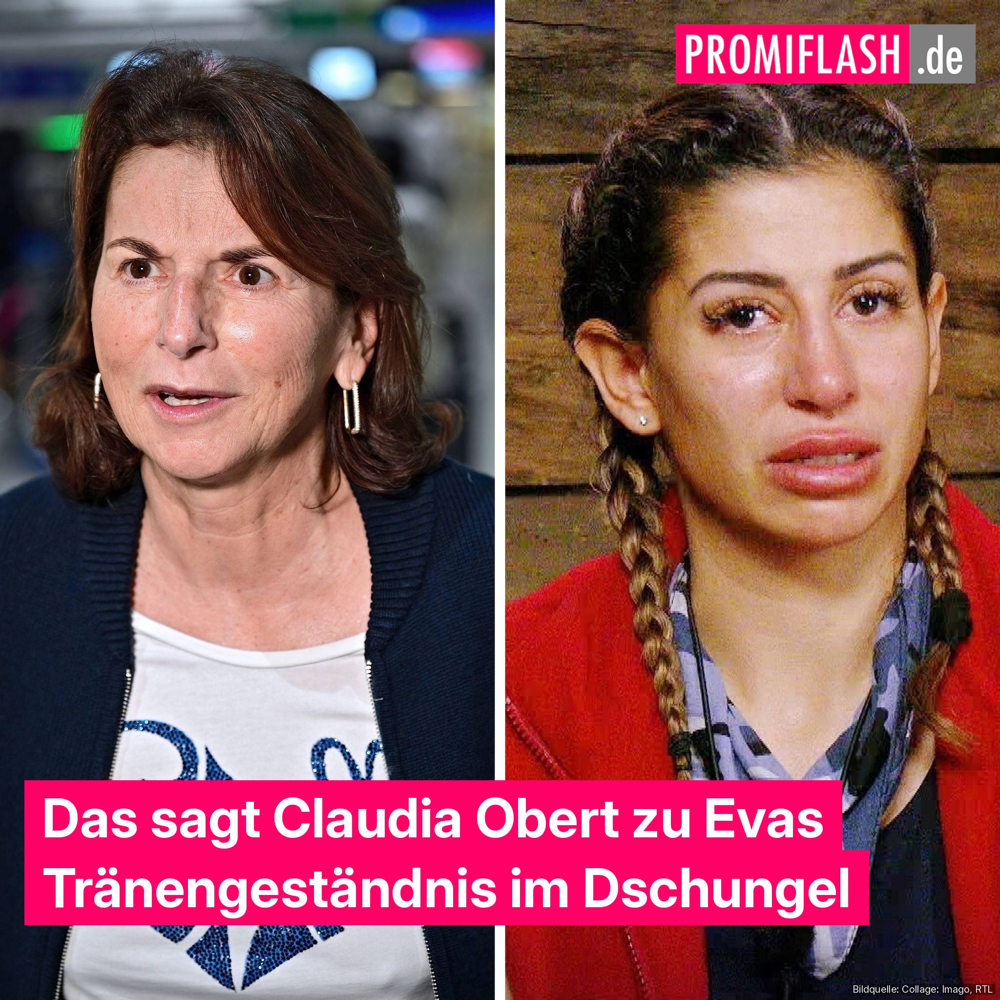 Promiflash - https://www.promiflash.de/news/2026/02/01/das-sagt-claudia ...