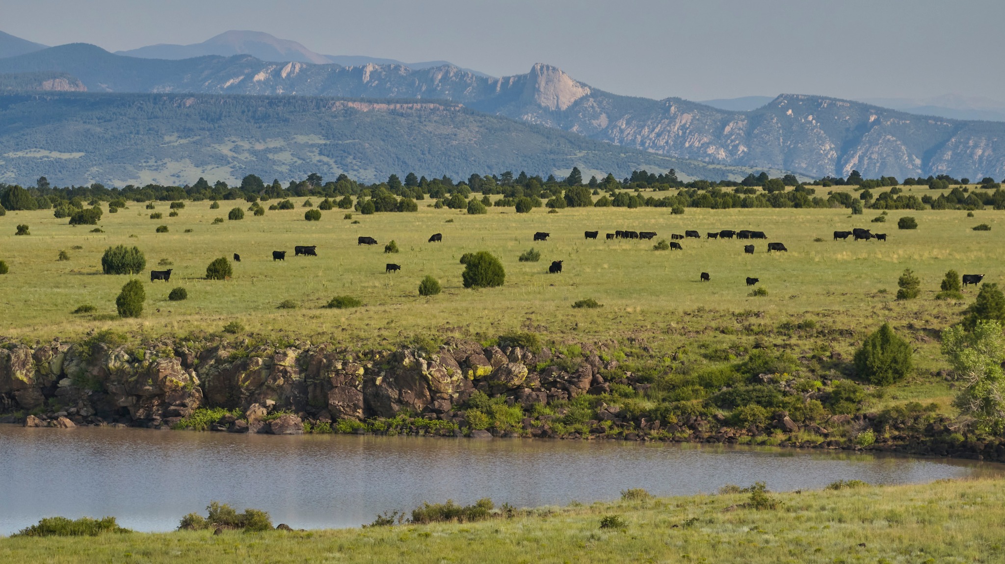 Beaverhead Ranch Group, LLC | Elephant Butte NM