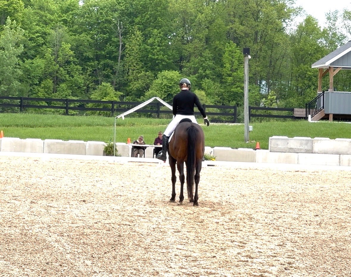 Emily's Equestrian Enterprises