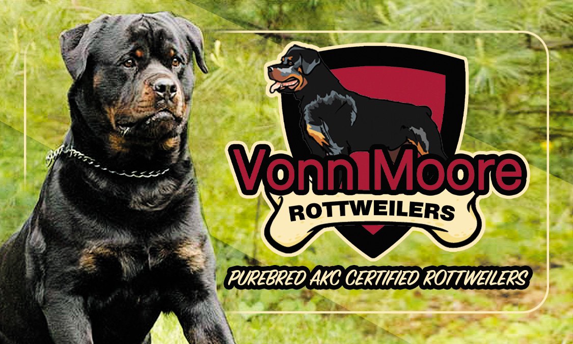 Vonn Moore Rottweilers | Oshtemo MI