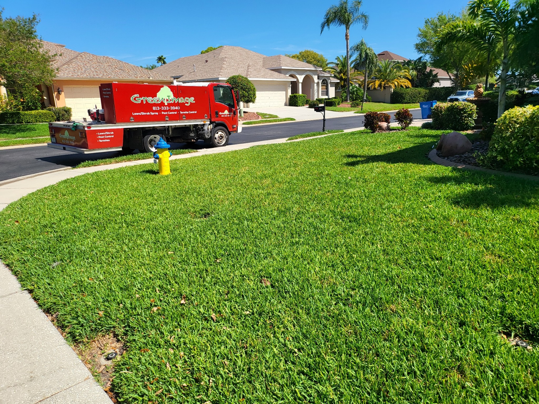 Green Image Lawn and Pest Control Services | Tampa FL