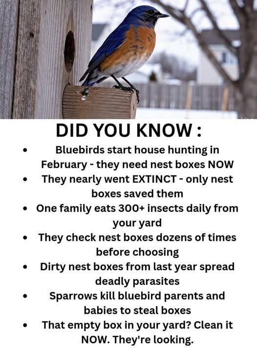 Wildlife Rescue Center added a... - Wildlife Rescue Center