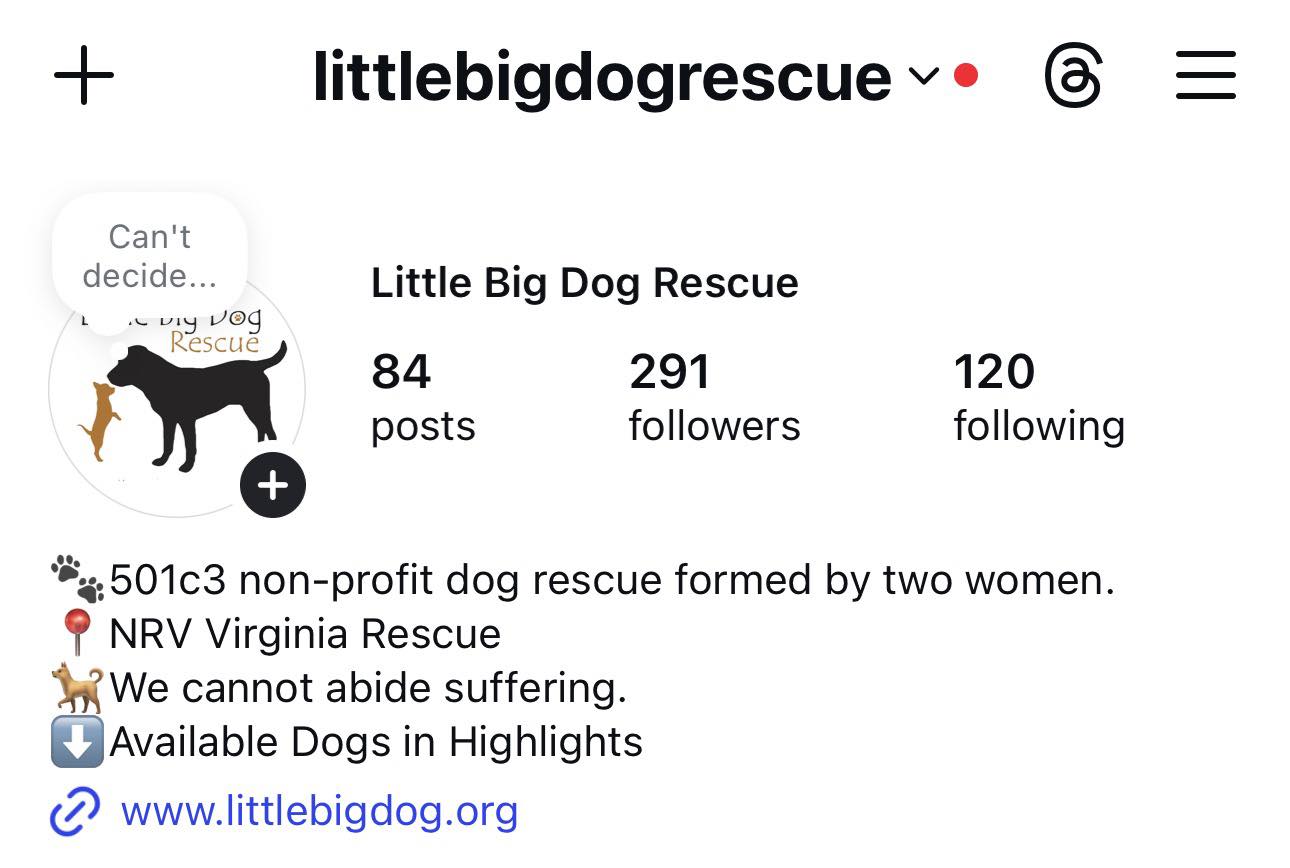 Did you know we also have an... - Little Big Dog Rescue | Facebook