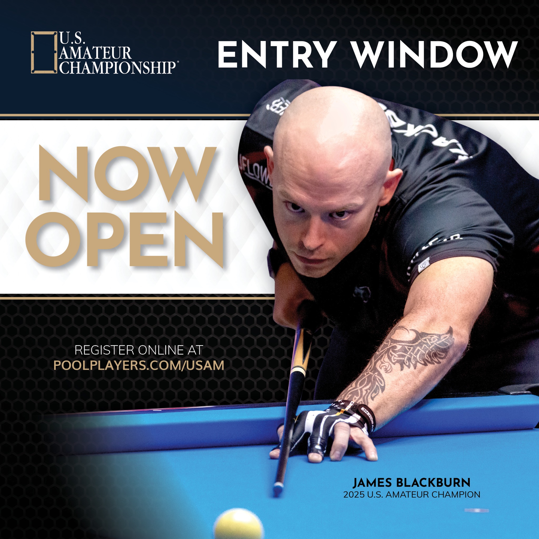 American Poolplayers Association - APA