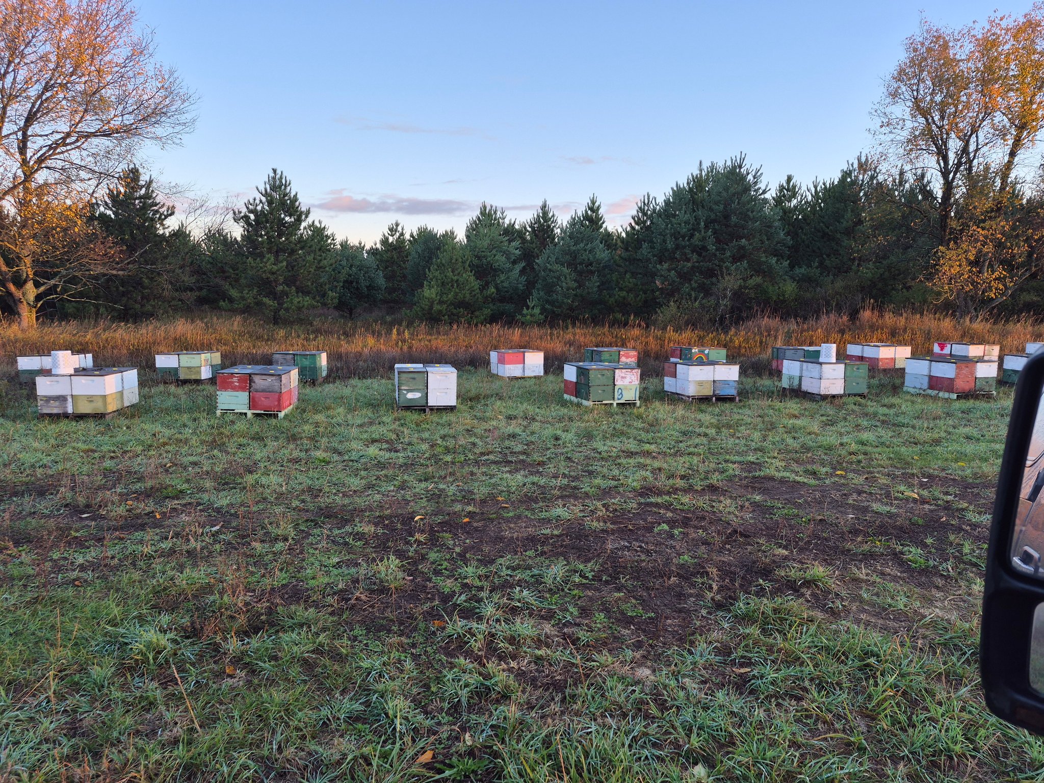 Stoney Grove Farm | Rodney MI