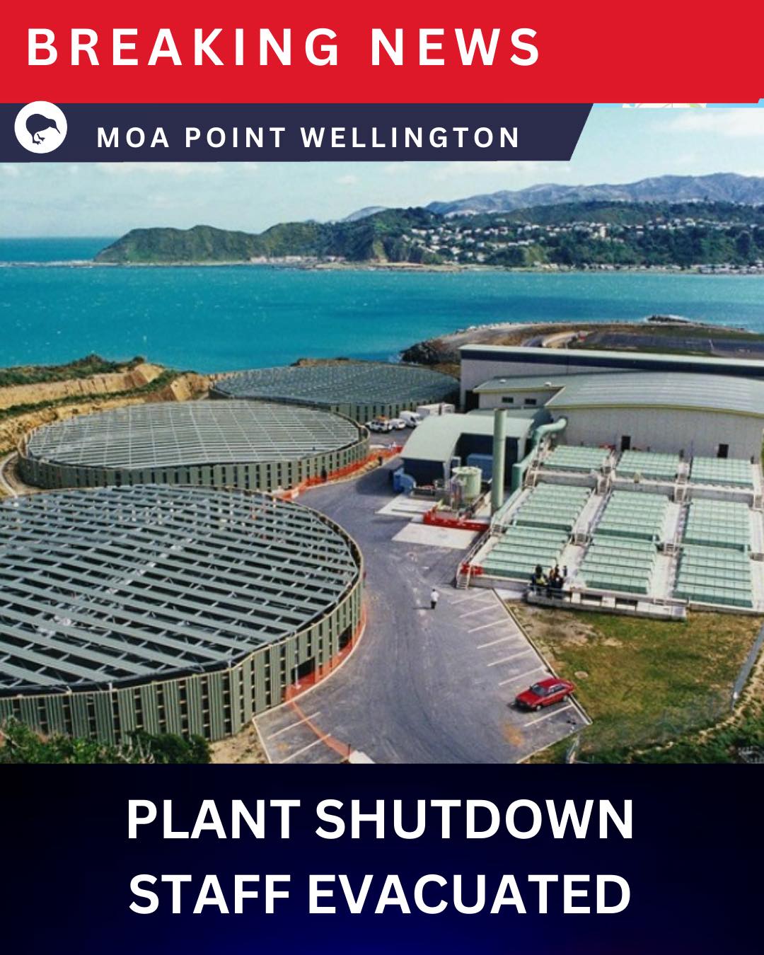 #BreakingNews Staff evacuated as Moa... - New Zealand Proud | Facebook