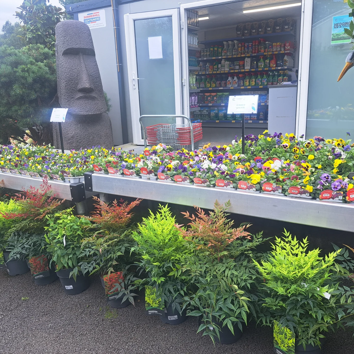 Clockhouse Nurseries... - Clockhouse Nurseries Plant Emporium
