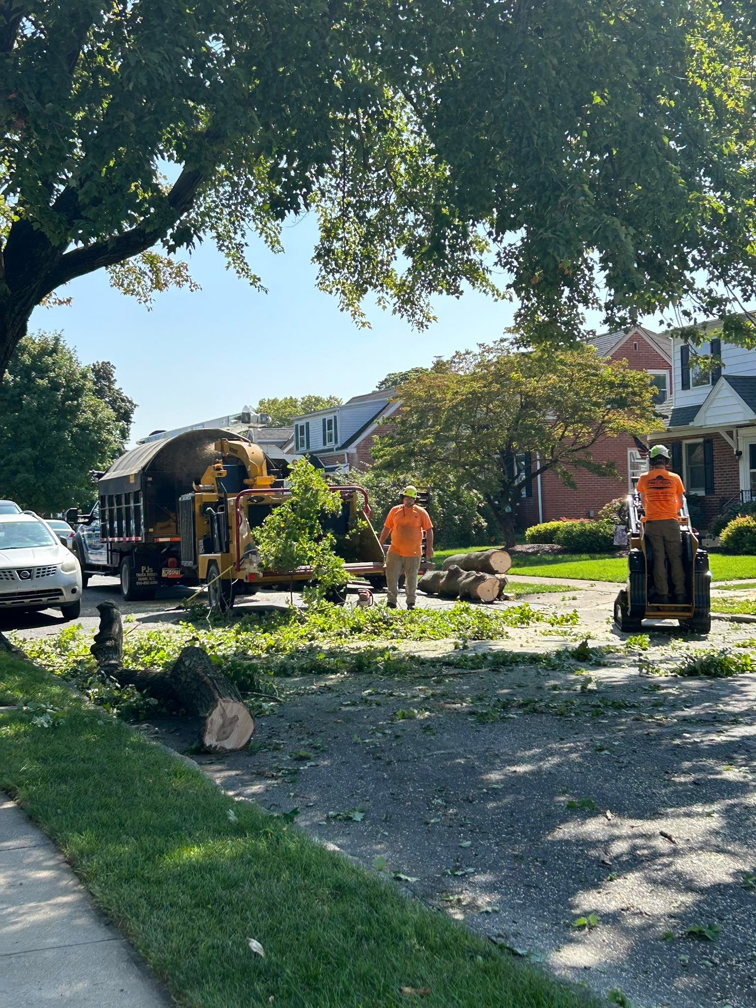Precision Tree Experts | Easton PA